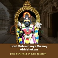Lord Subramanya Swamy Abhishekam For Sarpadosha To Nullify The Malefic Effects (Puja Performed On Tuesday)